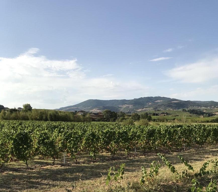 La Boheme, Gite De Charme Quincie-en-Beaujolais Екстер'єр фото