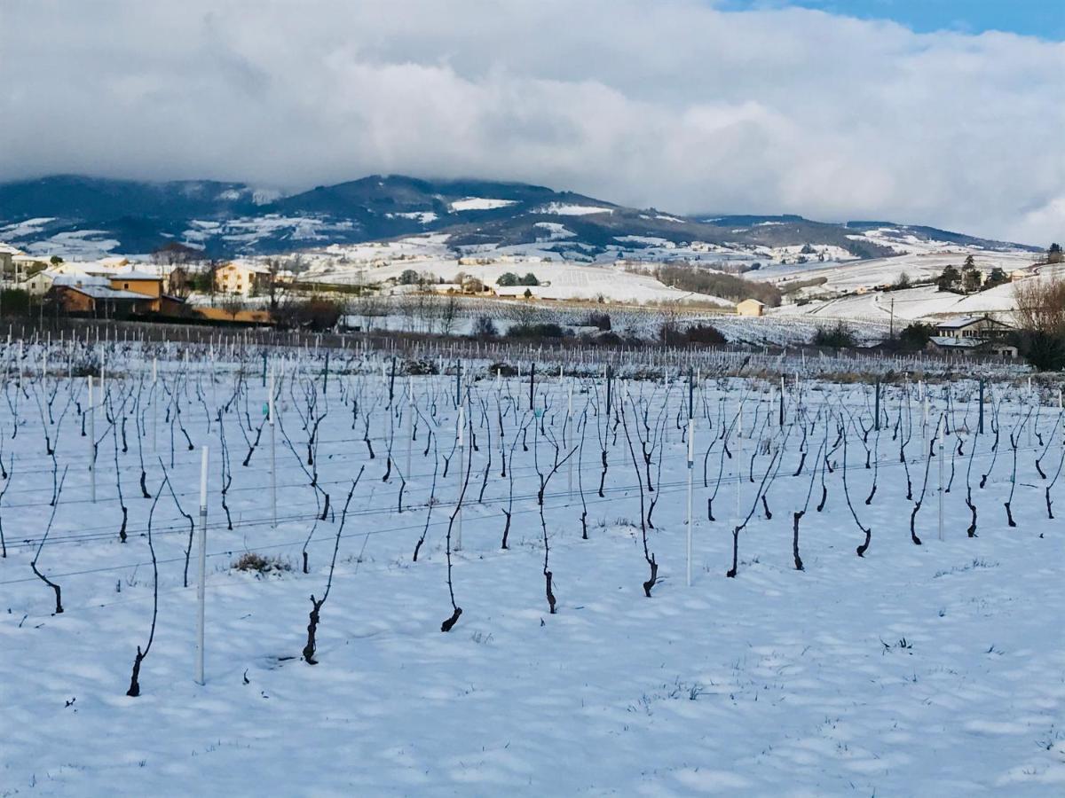 La Boheme, Gite De Charme Quincie-en-Beaujolais Екстер'єр фото