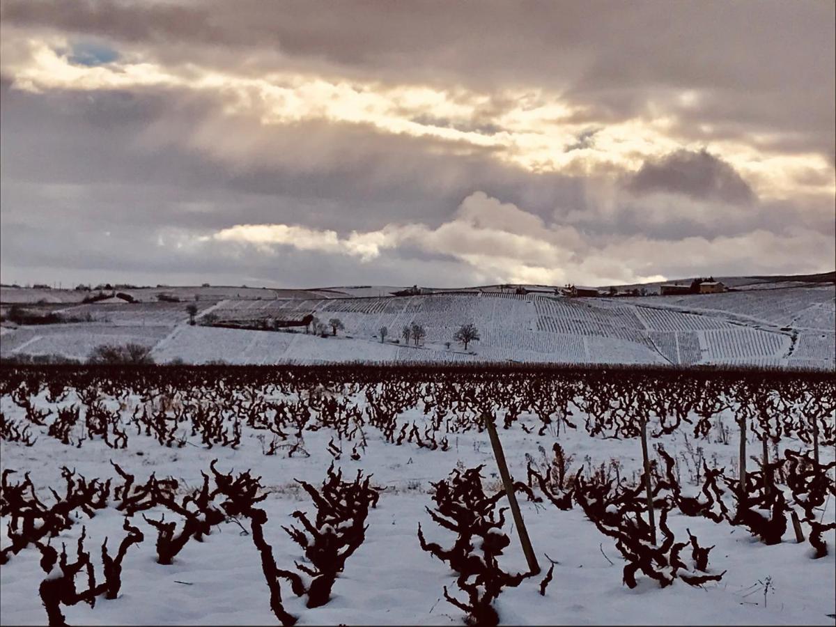 La Boheme, Gite De Charme Quincie-en-Beaujolais Екстер'єр фото